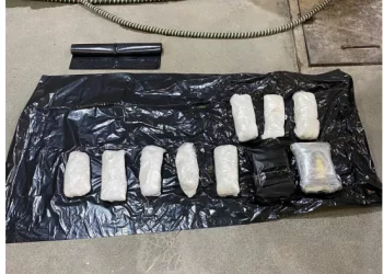 Под Новосибирском поймали торговцев «слоновьим транквилизатором»