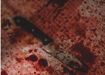 В Омске мать зарезала отца на глазах у ребенка, 6-летний мальчик сошёл с ума