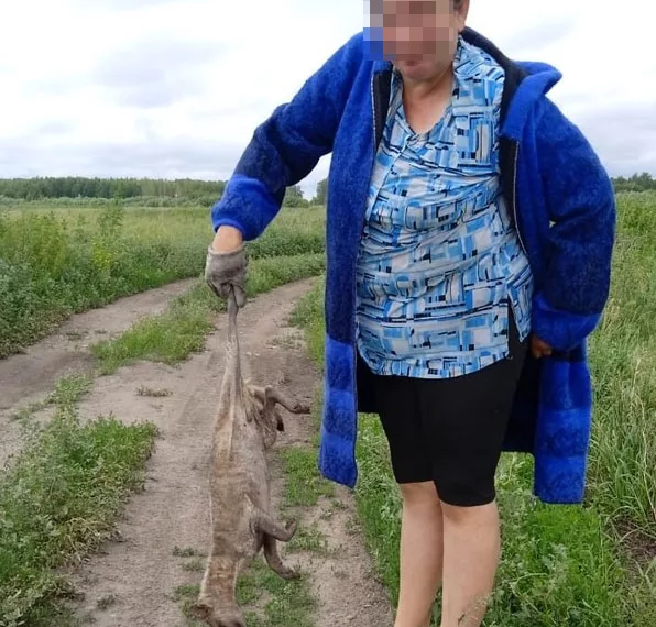 «Болезнь никого не красит»: ветеринар разоблачил слухи о чулымской чупакабре