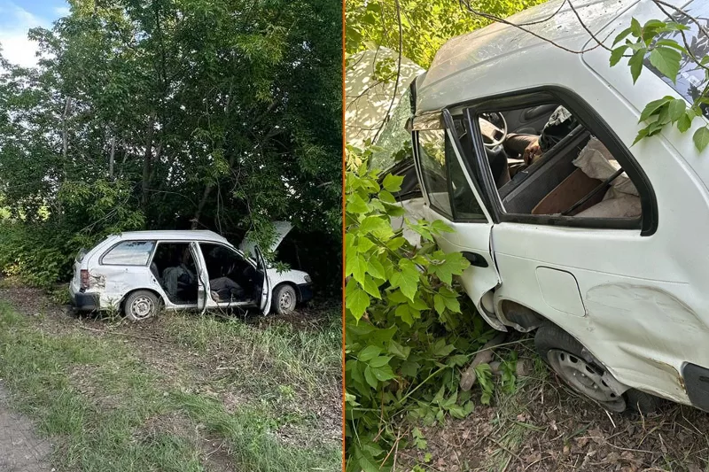 Бердчанин на Toyota не пережил скоростного столкновения с деревом