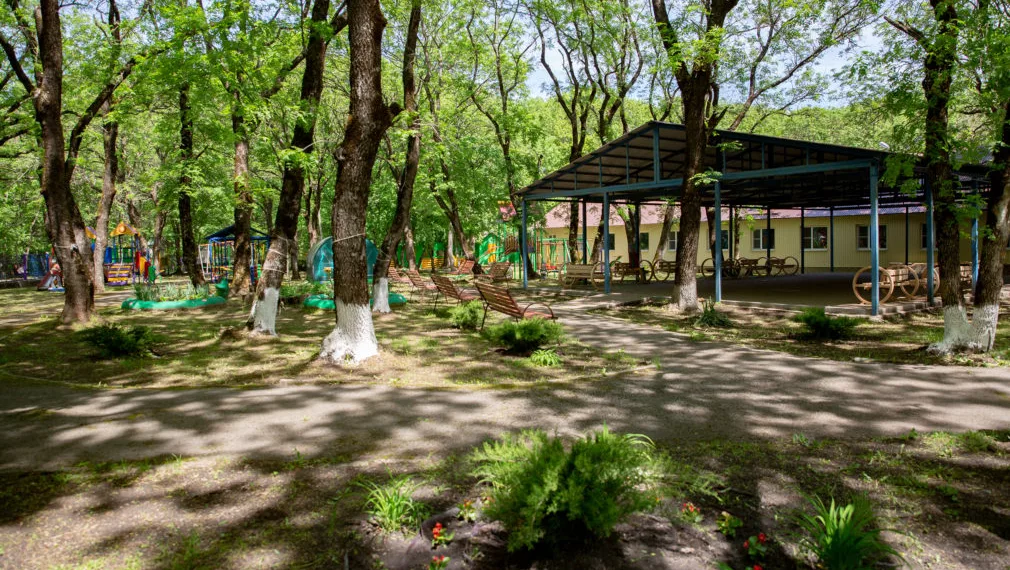 Двое девочек-подростков ночью сбежали из детского лагеря под Новосибирском