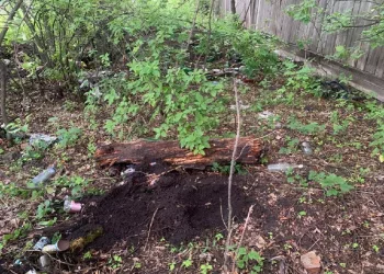 В Омской области мужчина расправился с женой топором и расчленил её тело в лесу