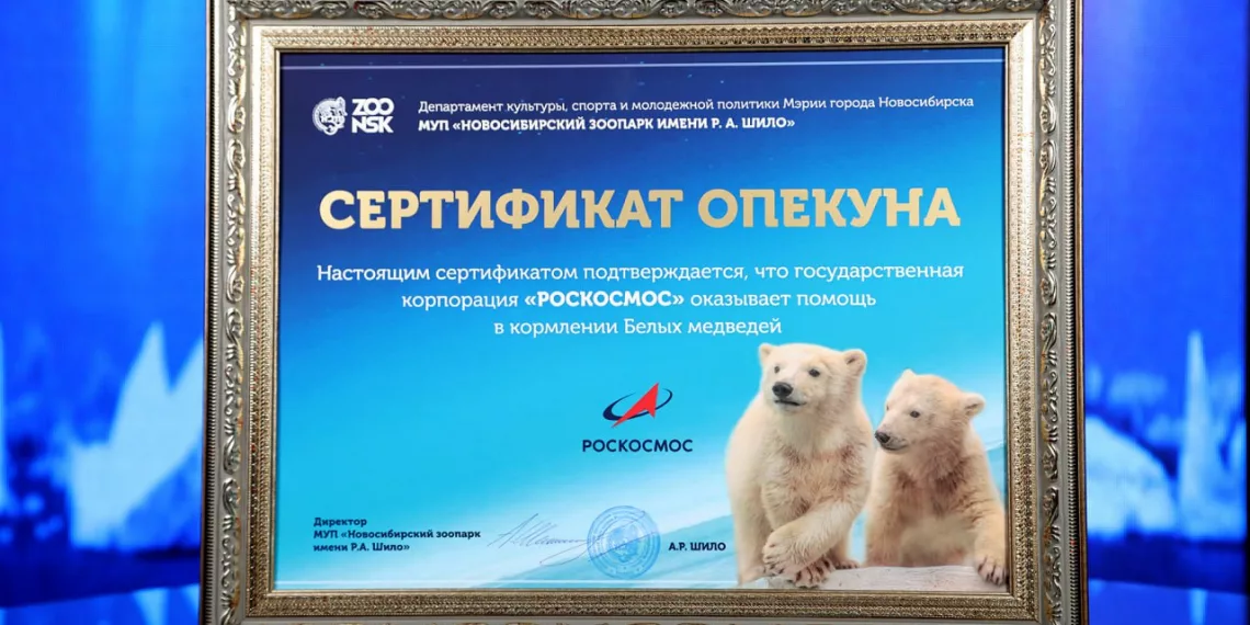 «Роскосмос» стал опекуном белых медведиц Белки и Стрелки из Новосибирского зоопарка