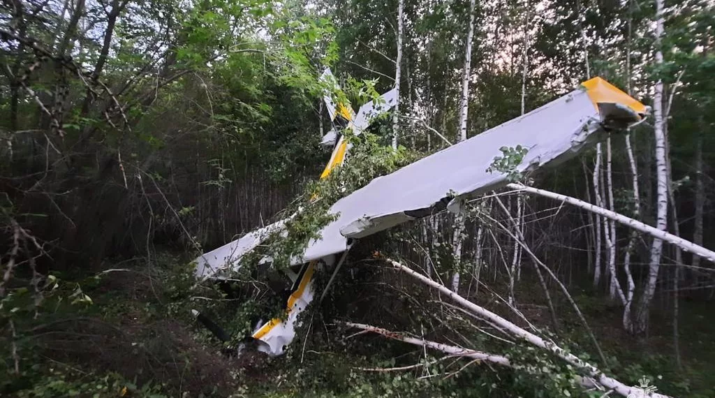 Легкомоторный самолет упал в новосибирский лес — есть пострадавшие