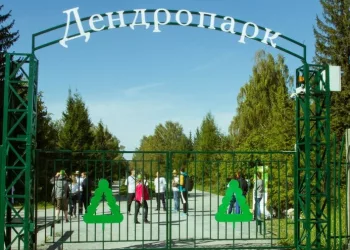 Минприроды Новосибирской области: реконструкции Дендропарка не будет