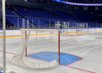 Световые вывески за 4,6 млн закупят для нового ЛДС в Новосибирске