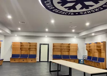 Новый ЛДС Новосибирска возьмут под охрану за 33 млн рублей