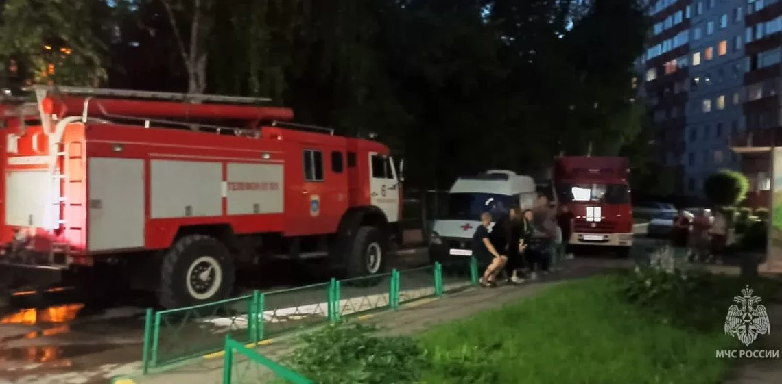 В Новосибирске пожарные вынесли собаку из горящей квартиры на улице Герцена