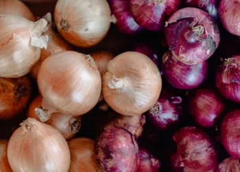 Исторический рост цен на лук не коснулся Новосибирской области