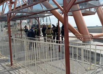 Следствие заинтересовалось остановкой колеса обозрения на Михайловской набережной