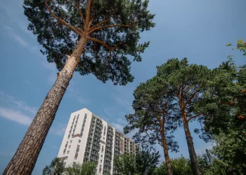 Жить на берегу Оби: первый дом нового квартала сдается уже в этом году