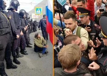 Новосибирскому депутату Каверзиной ЕСПЧ присудил компенсацию за «административку»