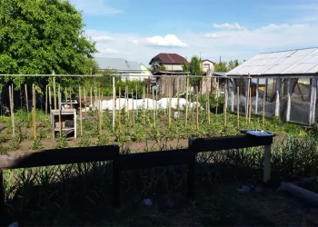 Большинство школьников Новосибирска провели лето-2023 дома, или на даче