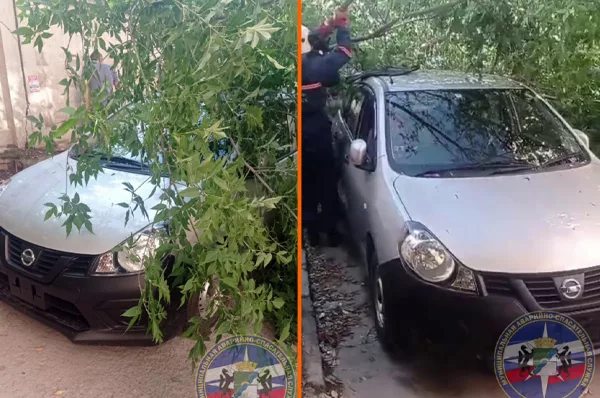 Новосибирец едва не лишился машины от упавших после шторма деревьев