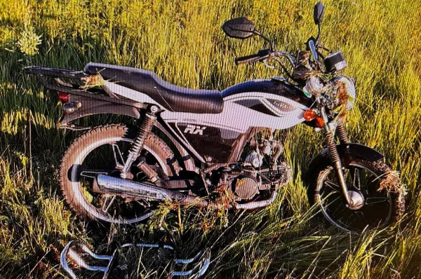 Мотоциклистка сбила собаку и вылетела с седла в Академгородке