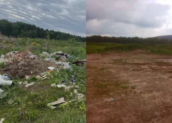 В Маслянинском районе Новосибирской области ликвидировали незаконную свалку