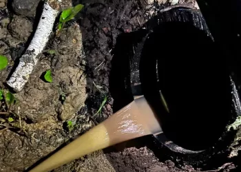 Уголовное дело возбудили следователи из-за слива нечистот в новосибирское озеро