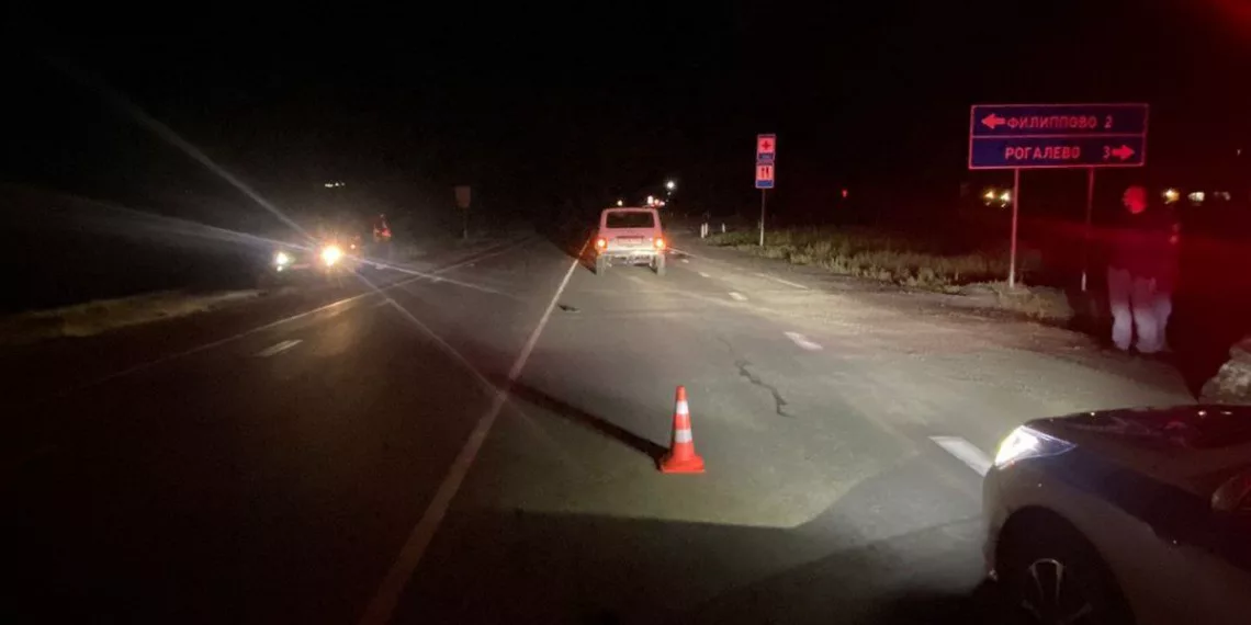 «Нива» насмерть сбила женщину на ночной трассе в Новосибирской области