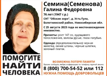 Дачница преклонного возраста пропала в Новосибирской области