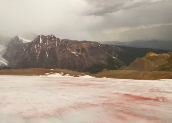 Водоросли окрасили ледник Актру в кроваво-красный цвет