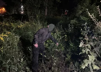 В Новосибирске ревнивый муж спрятал тело жены на балконе, а после закопал рядом с домом