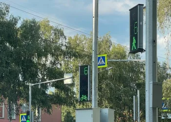 Первый в Новосибирске светофор для велосипедистов установили в Академгородке