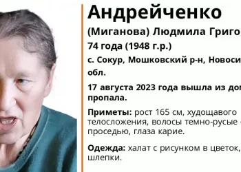 Дезориентированная пенсионерка пропала в посёлке Сокур под Новосибирском