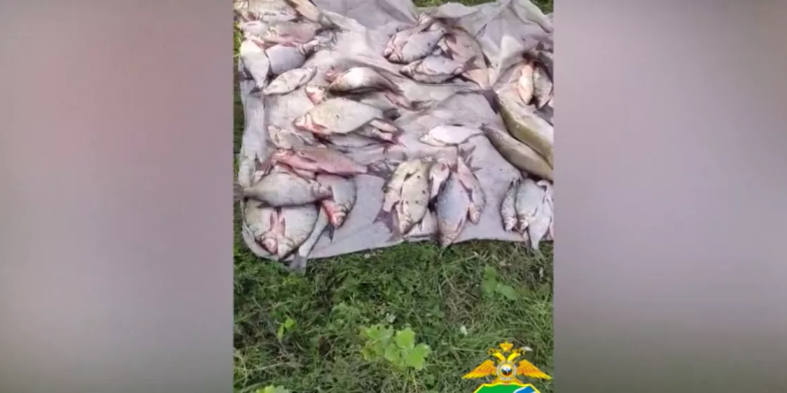 Браконьер из Новосибирска пойдет под суд за незаконный улов рыбы на 110 тысяч рублей