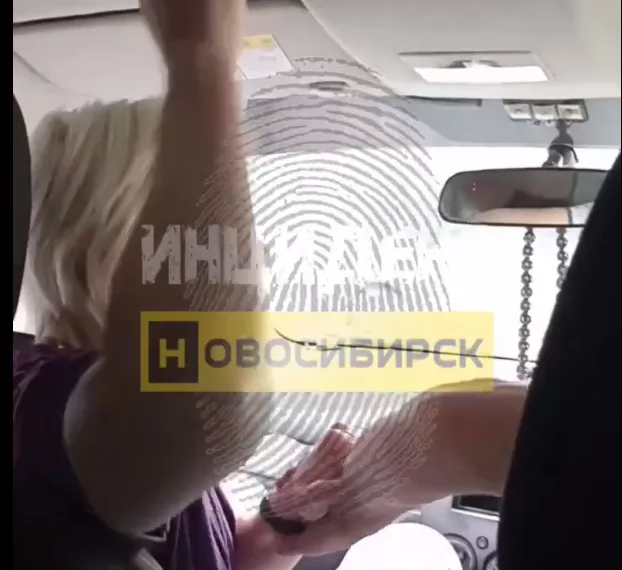 В Новосибирске сибирячка устроила драку с водителем во время поездки