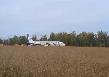 Пассажиров севшего в поле под Новосибирском самолёта разместили в сельском ДК