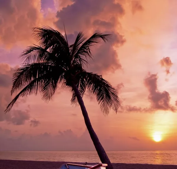 Бердские приставы не дали шашлычнику улететь на отдых в Турцию