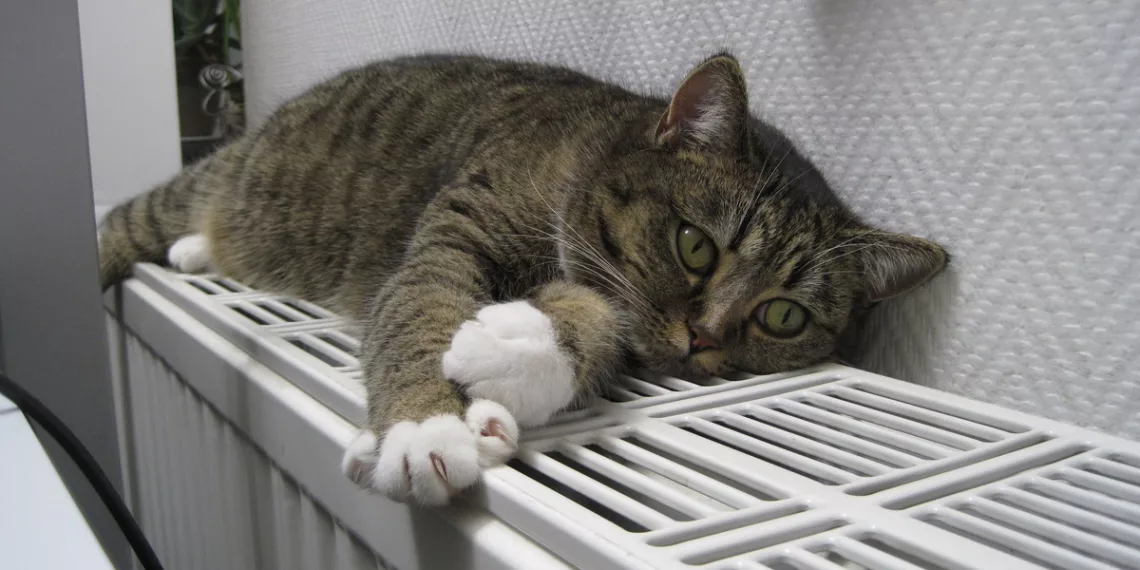 Точную дату старта отопительного сезона назвали в мэрии Новосибирска