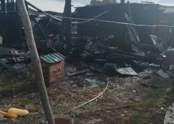 Сибиряки чуть не сожгли дом пока готовили пищу для скота под Новосибирском