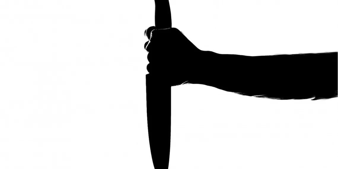 Пенсионер пырнул ножом свою 44-летнюю даму сердца во время ссоры в Новосибирске