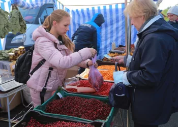 Новосибирцев приглашают на осеннюю ярмарку на площади Маркса