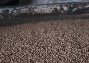 В школе № 96 детей не кормили опарышами — мэрия