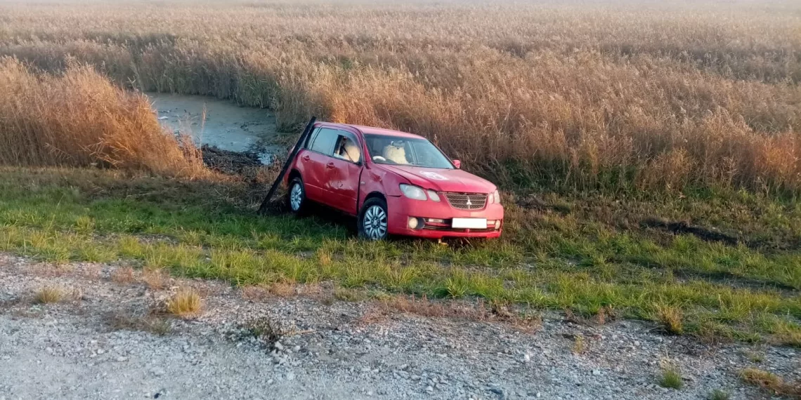 Пьяная сибирячка села за руль и едва не убила сыновей
