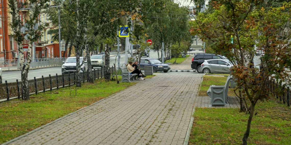 Бульвар Красного проспекта озеленят ивой, клёном и пузыреплодником