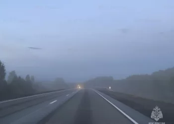 В Новосибирской области МЧС назвало самые опасные районы для поездок в период тумана