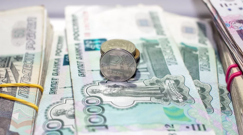 Председатель СНТ в Бердске украла почти полмиллиона у дачников