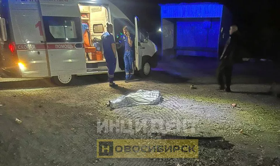 В Сети появились кадры смертельного наезда на женщину в селе Каменка