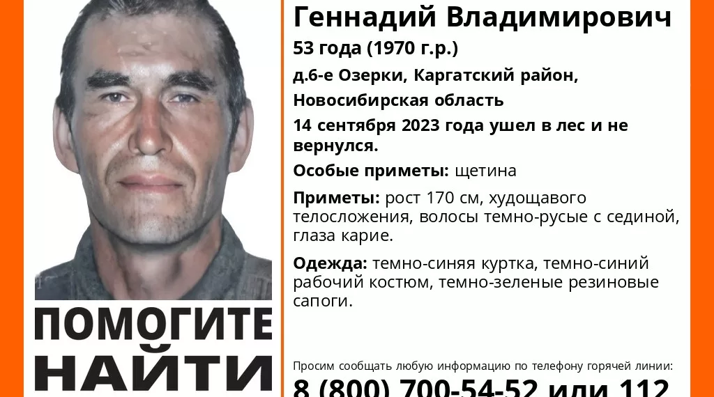 В Новосибирской области ищут ушедшего в лес жителя деревни Озерки