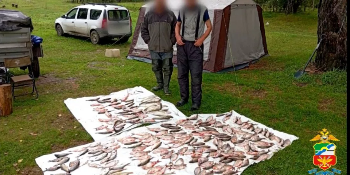 В Новосибирске поймали двух браконьеров с 250 экземплярами незаконной рыбы