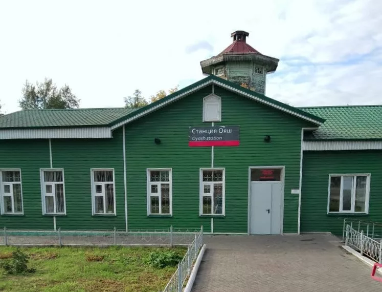 Под Новосибирском грузовой поезд сбил пенсионерку