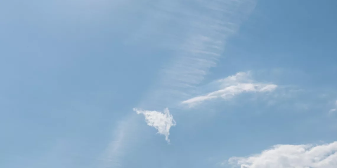 Тёплая погода до +22 °C продолжит радовать новосибирцев