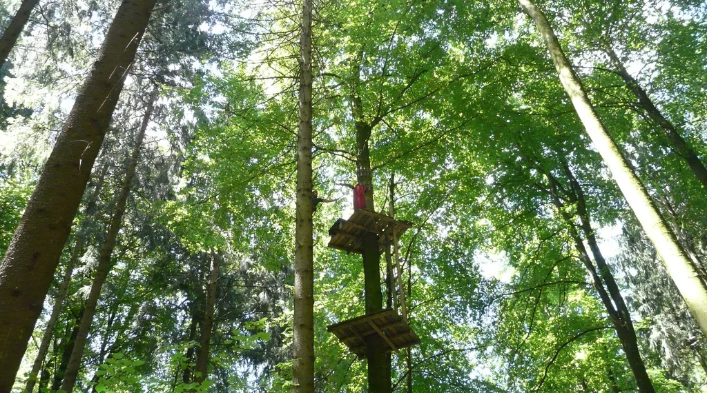 Глава СК России заинтересовался травмированием 14-летней девочки в новосибирском парке