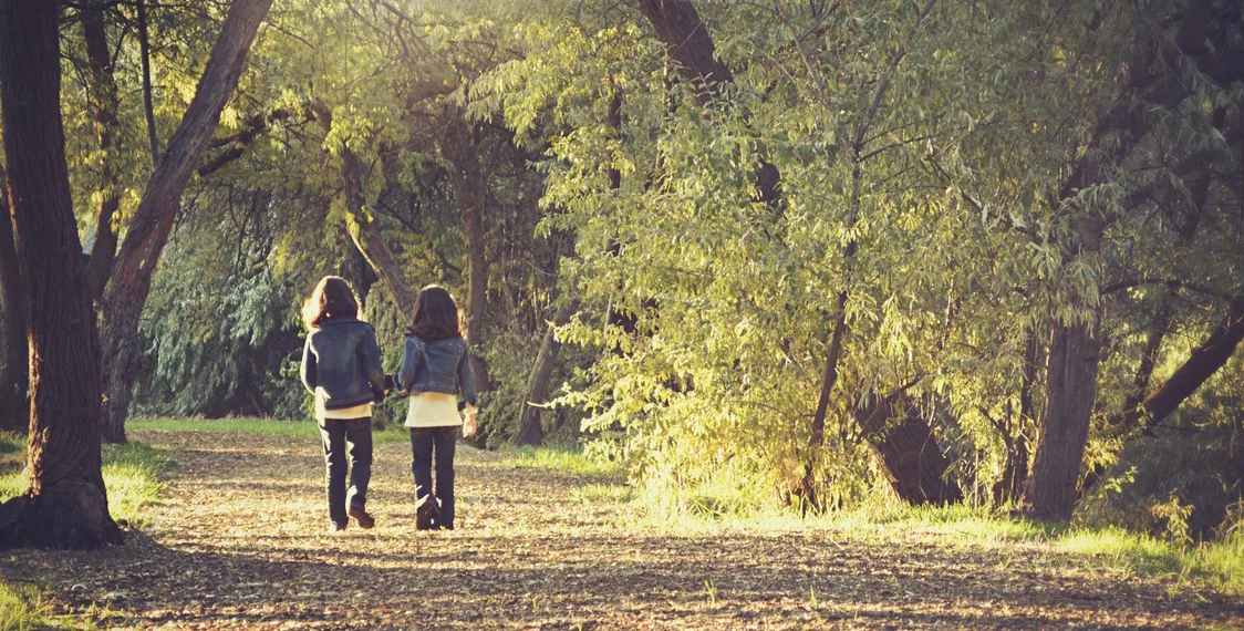 В РПЦ предложили снизить разрешенный порог прерывания беременности в Новосибирске