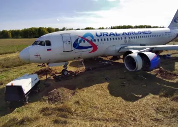 Экстренно приземлившийся в Новосибирской области самолет могут запустить прямо с поля