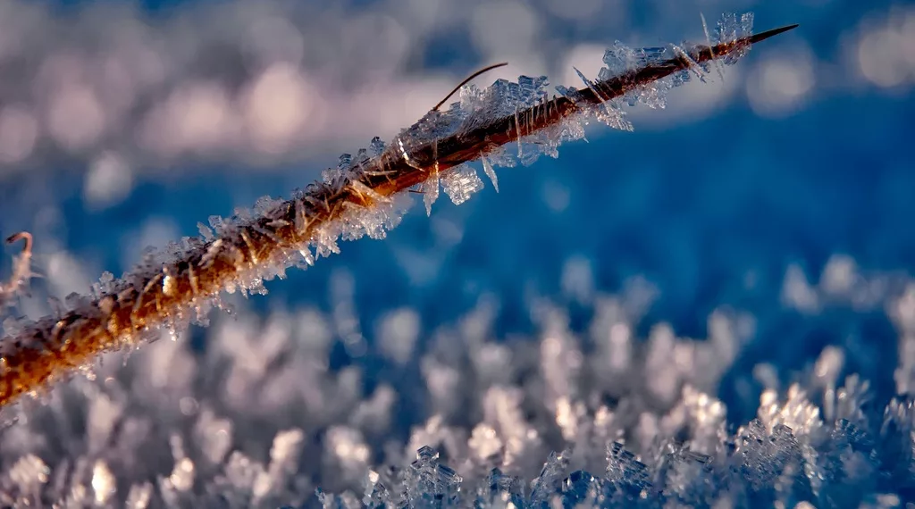 Названа дата первого снега в Новосибирской области