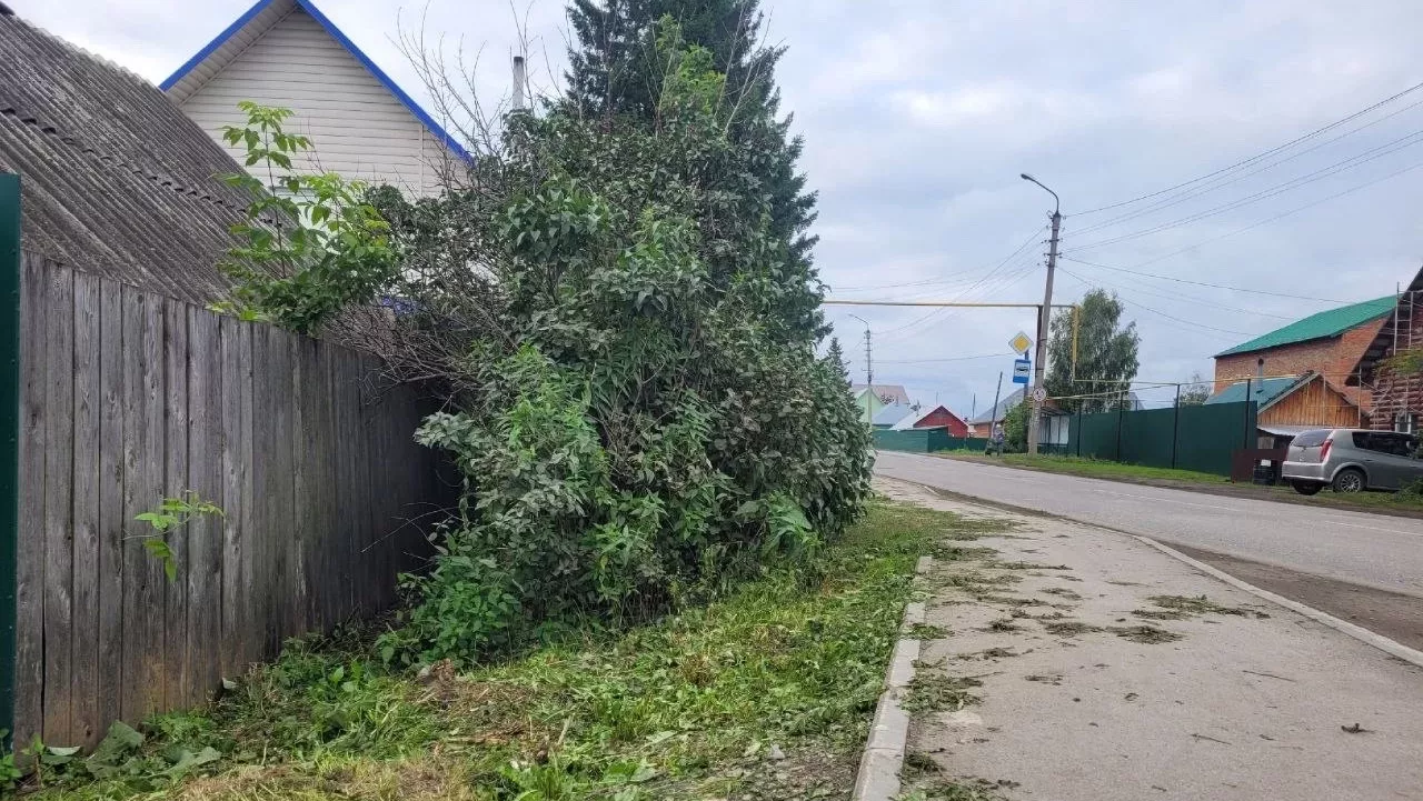 Труп 54-летнего мужчины нашли возле жилого дома в городе Болотное | НДН.Инфо